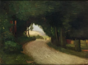 Summer Landscape